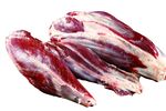 腱子肉