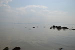 海天