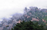 黄山云雾