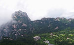 黄山云雾