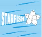 海星