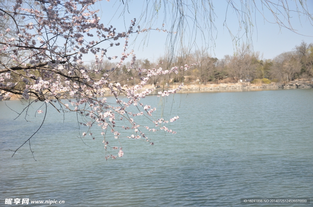 风景田园