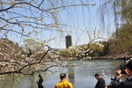 北京大学 风景 田园 