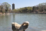 北京大学 鼓楼