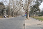 风景 街道 风光