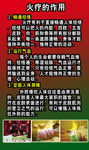 火疗