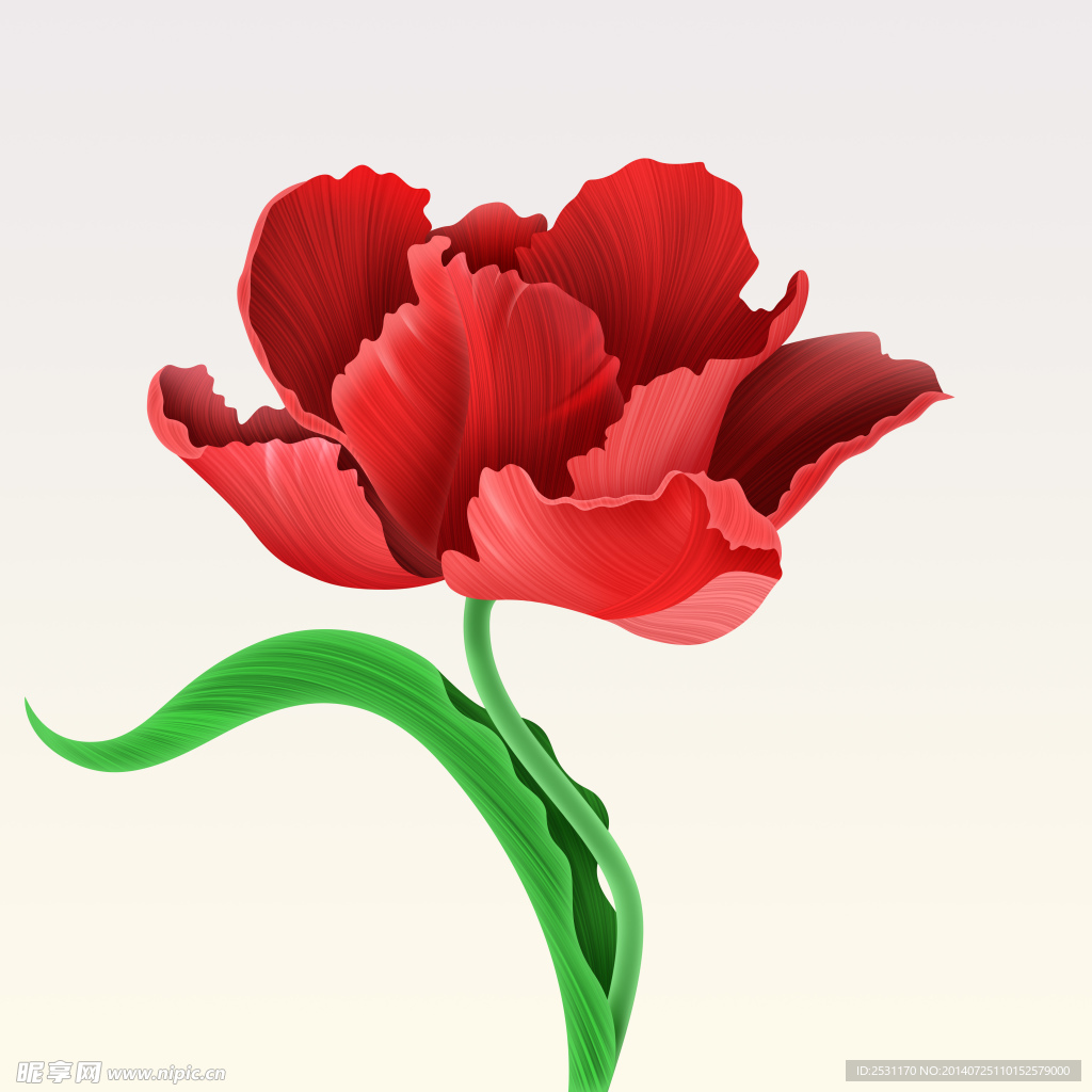 手绘花卉