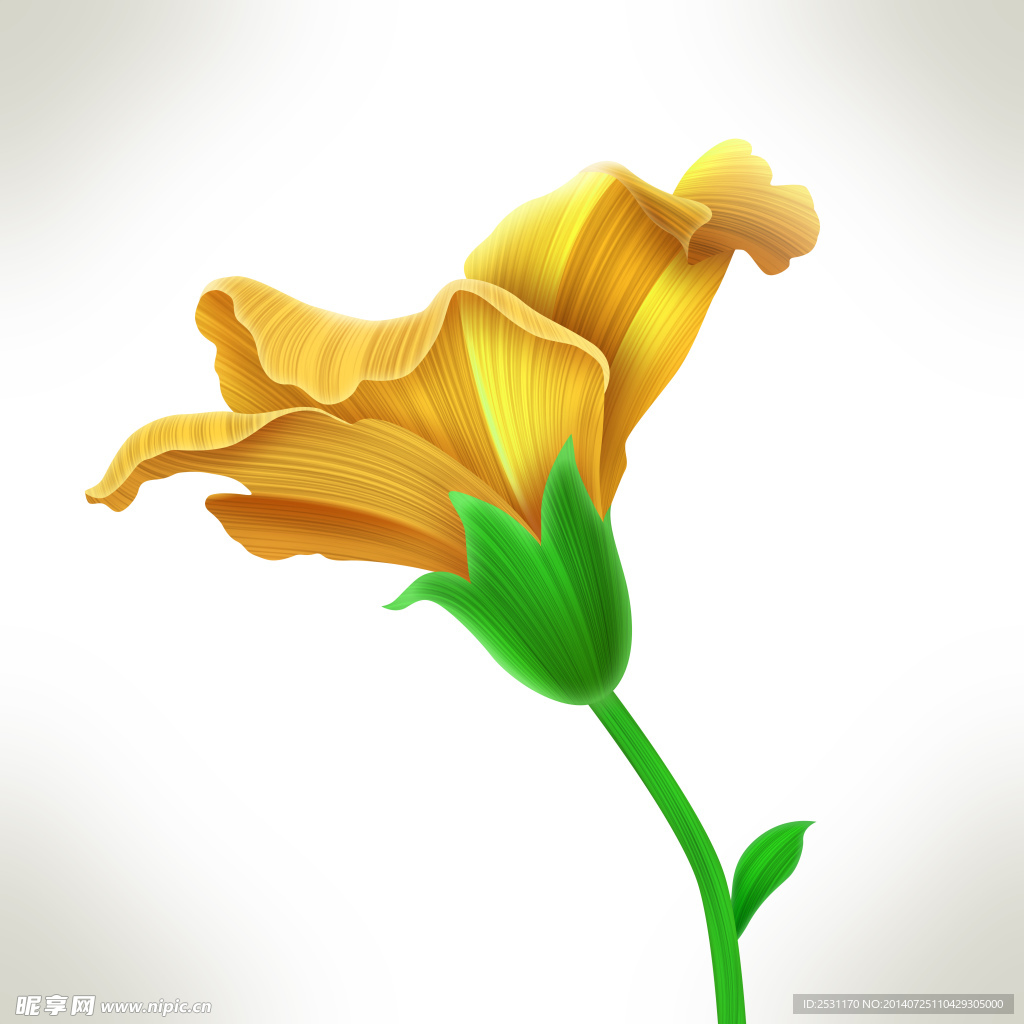 手绘花卉