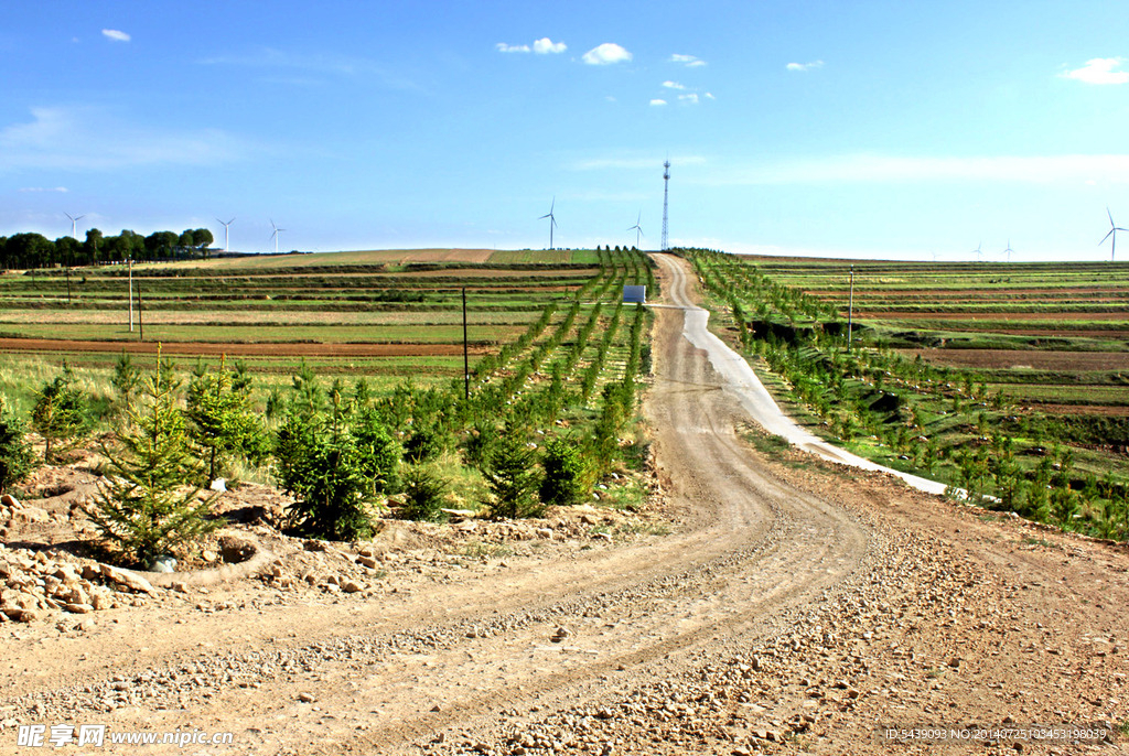 田间小路