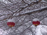 五台山雪景-灯笼