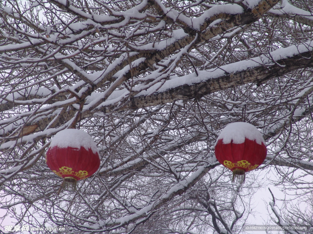 五台山雪景-灯笼