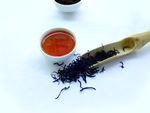 茶局巷