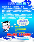 鲜奶海报