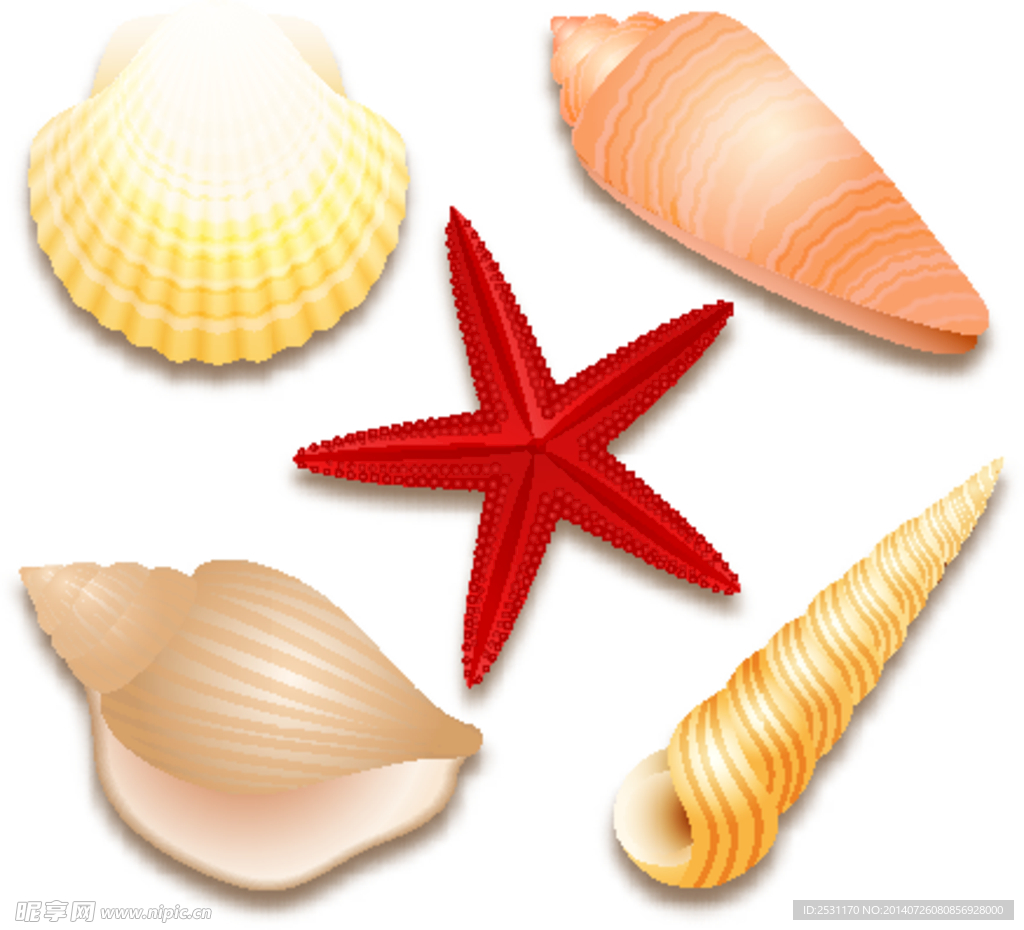 贝壳