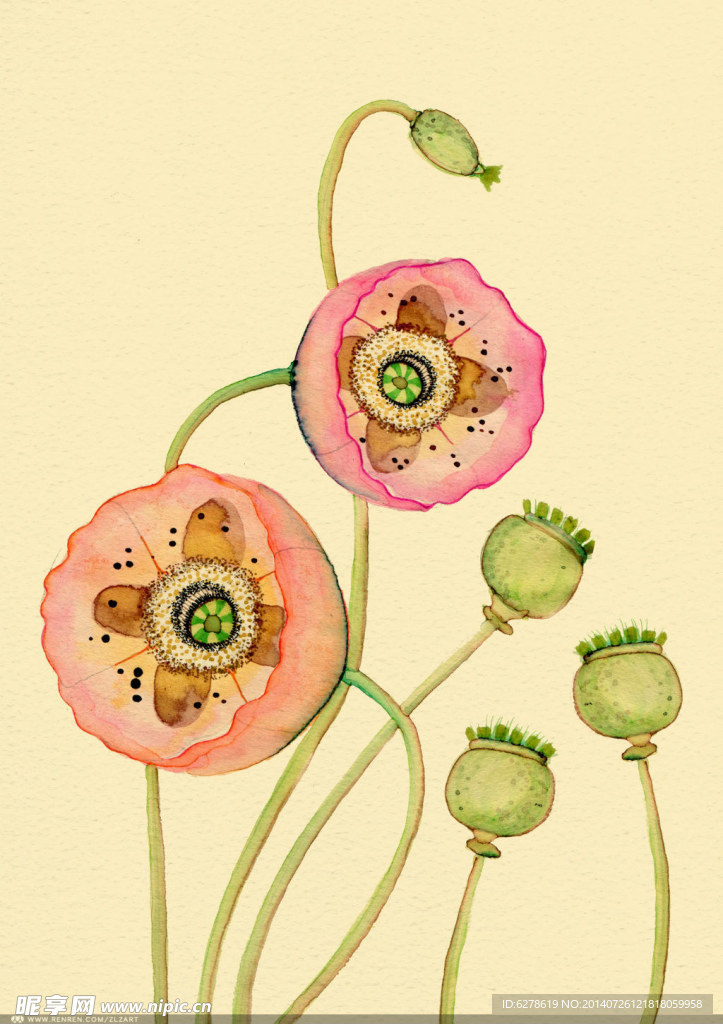 花卉绘画