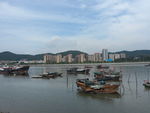 虎门景色