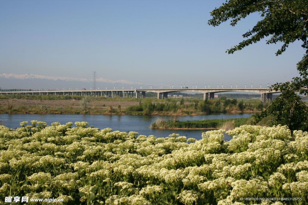 伊犁河