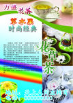 花茶海报