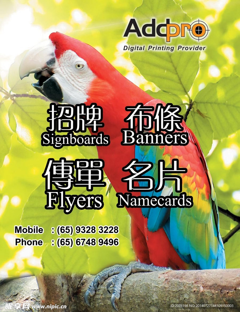 灯箱写真
