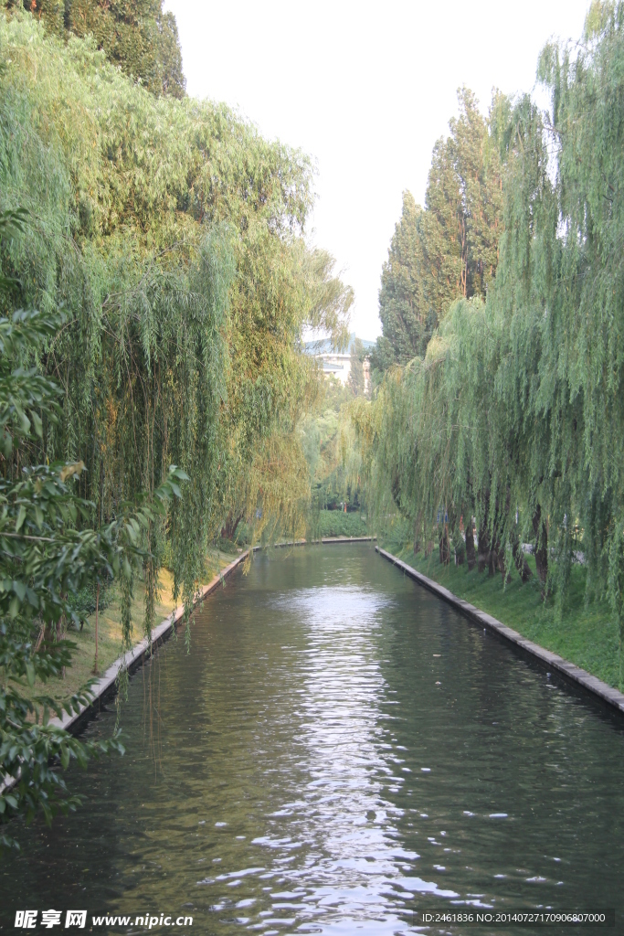 河道