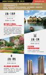 金地地产邮刊广告页免