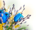 鲜花