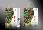 李子手提袋（平面图）