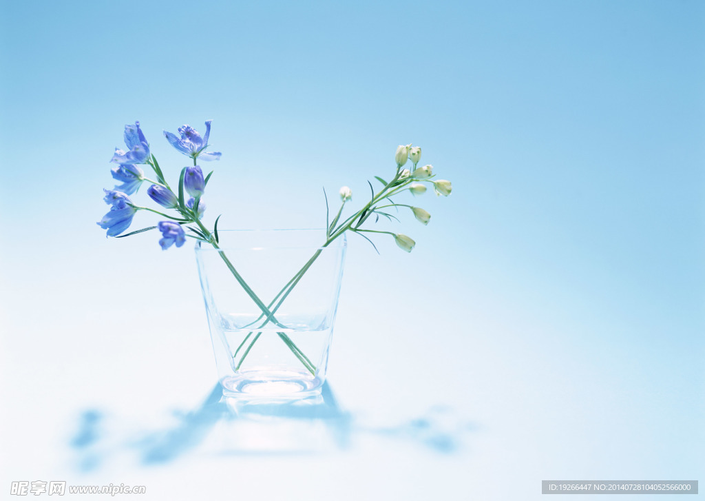 花卉