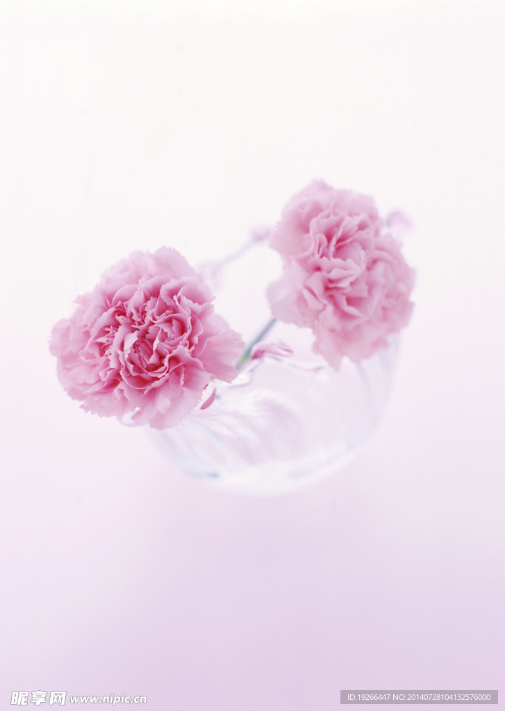 花卉