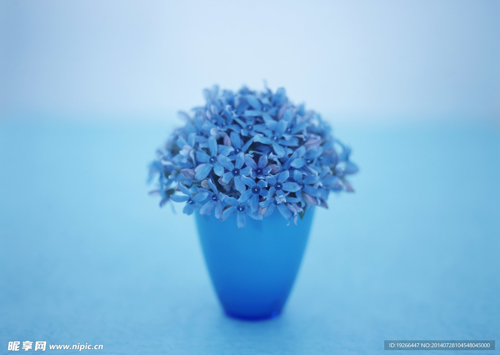 花卉