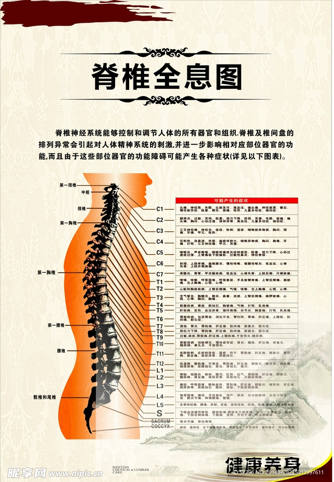 脊椎信息