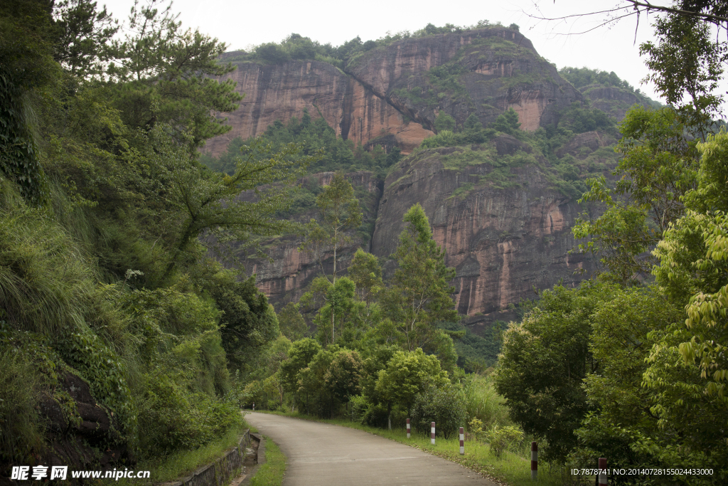 山崖道路树林