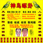 看相算命