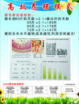 高效养猪模式
