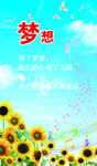 学校展板