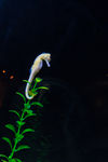 水族馆
