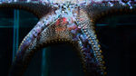 水族馆