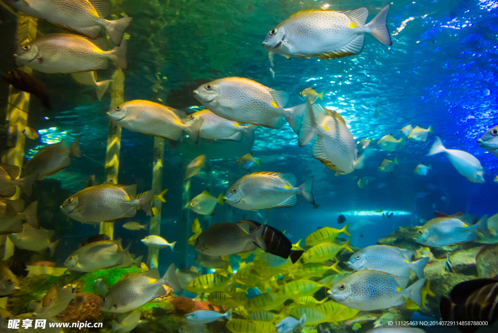 水族馆