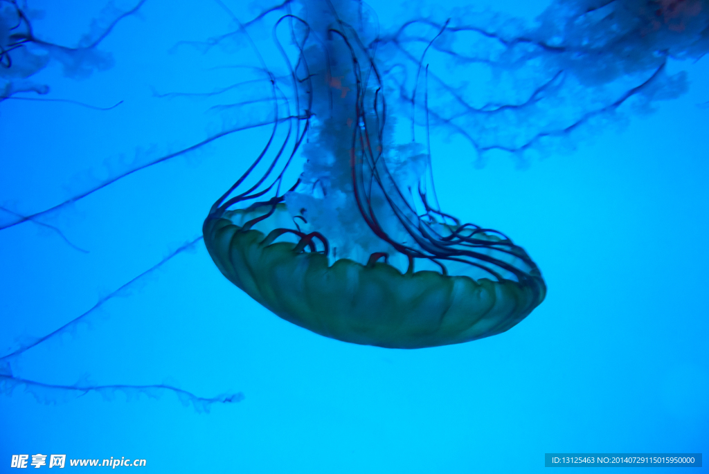 水族馆