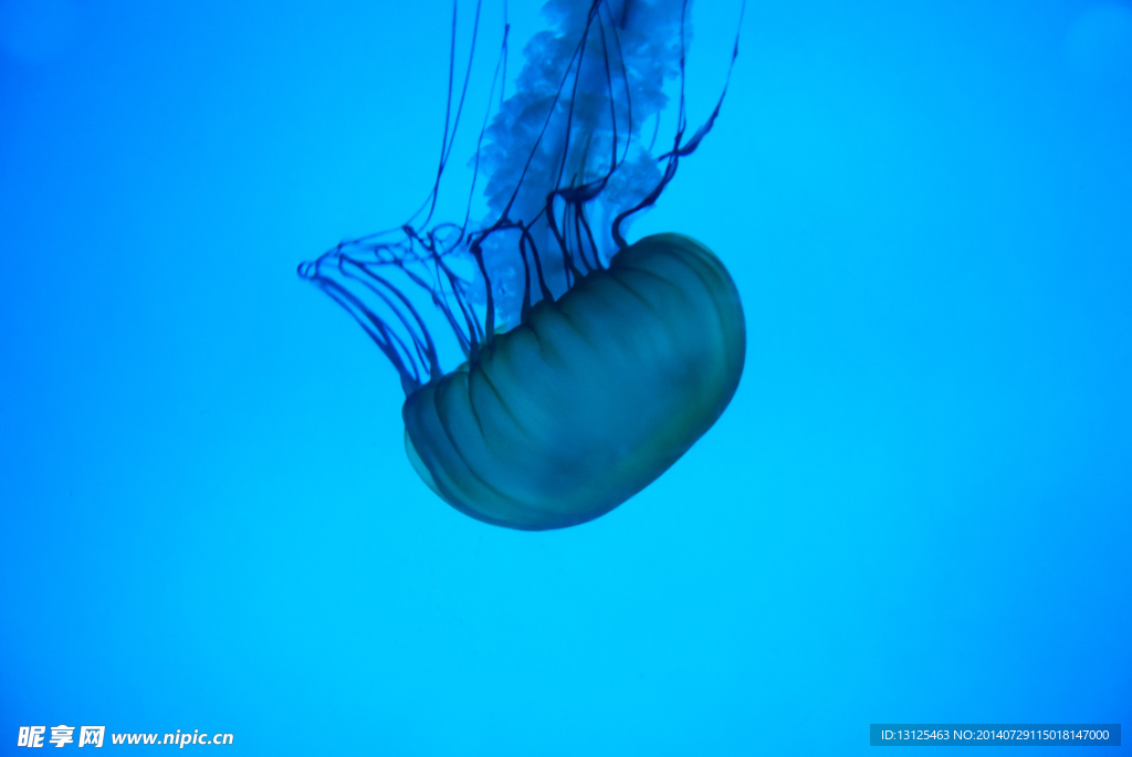 水族馆