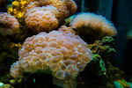 水族馆