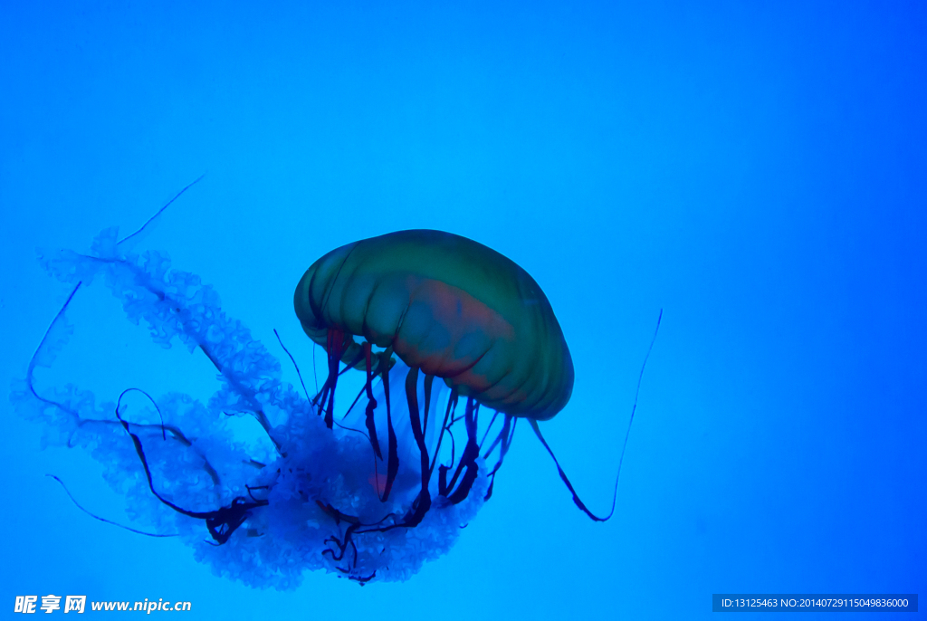 水族馆