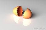 EGG  鸡蛋  3D 模型