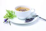 茶杯