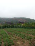 田园风景