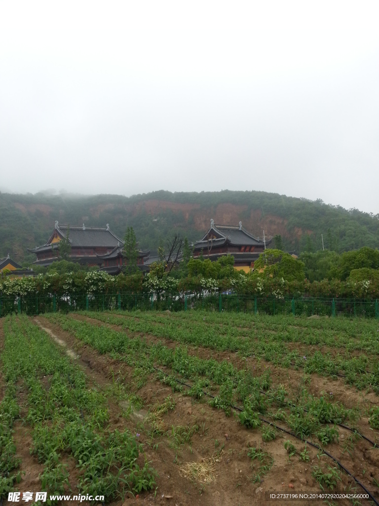 田园风景