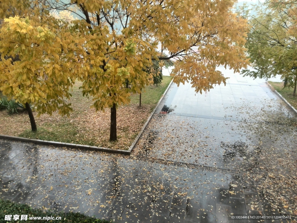 雨景