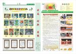 中学报纸