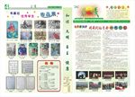 中学报纸