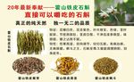 可以嚼吃的石斛